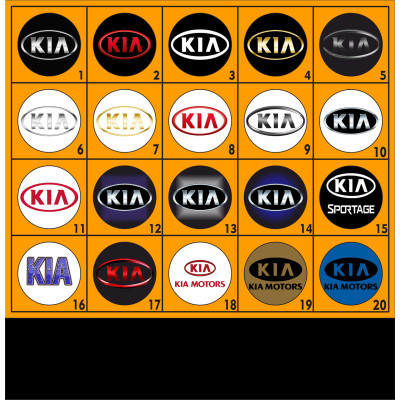 Портмоне KIA з держ. номером, Органайзер КІА